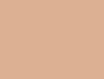 APERIRE DAY DREAM COVER CUSHION SPF50 + / PA ++++