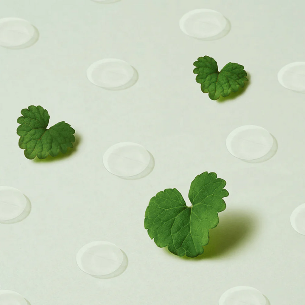 PURITO Wonder Releaf Centella Spot Patch - 51 patches /  Parches PURITO Wonder Releaf Centella Spot 51 parches